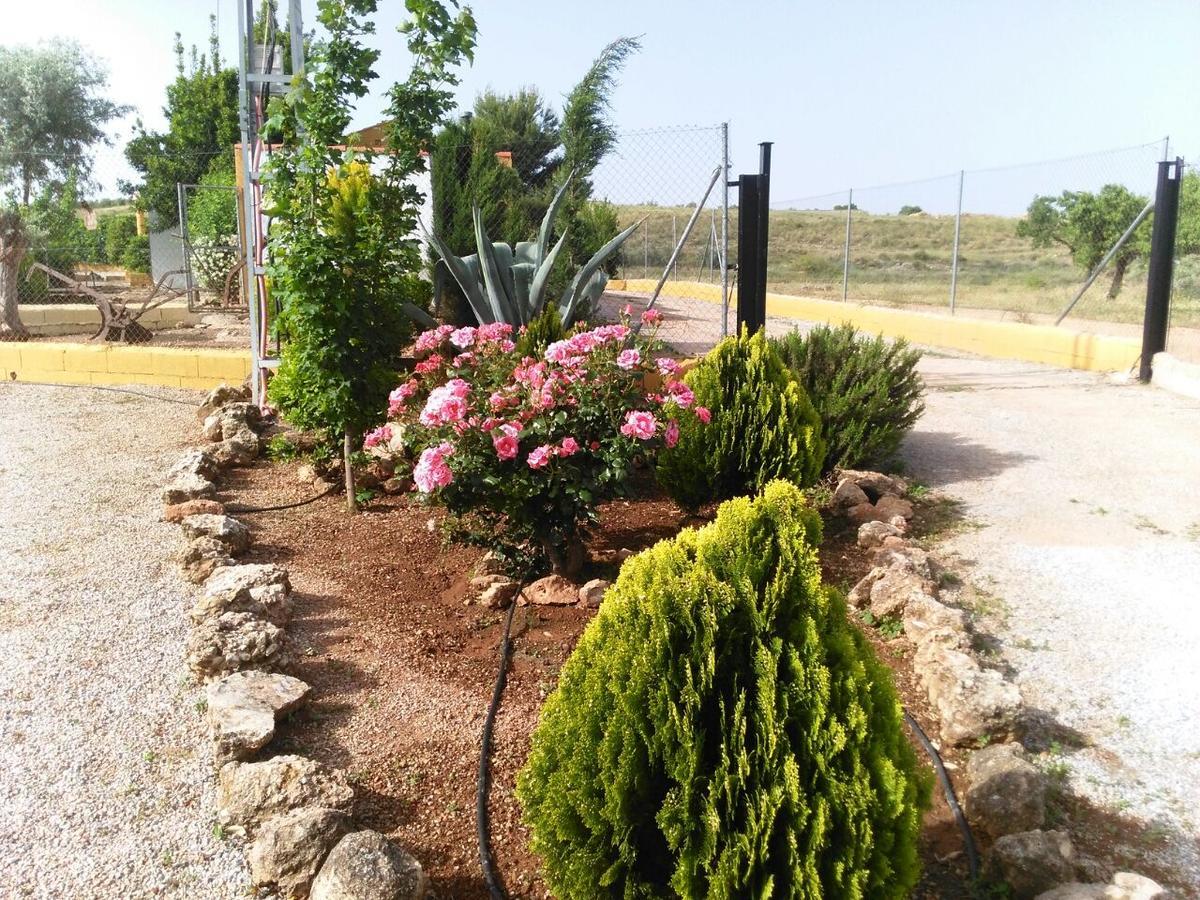 Alojamientos Rurales La Loma Pozo Alcon Exterior photo